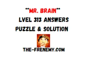 Mr Brain Level 313 Answers Puzzle