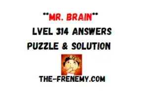 Mr Brain Level 314 Answers Puzzle