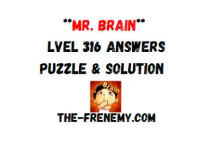 Mr Brain Level 316 Answers Puzzle