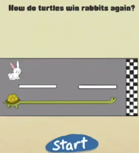 Brain Crazy How do turtles 3 Answers Puzzle