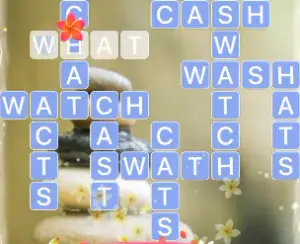 Word Crossy May 25 2021 Answers Puzzle