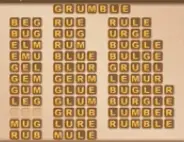 Word Cookies Baguette Level 9 Answers Puzzle