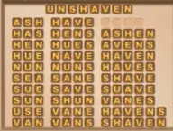 Word Cookies Minestrone Level 19 Answers Puzzle