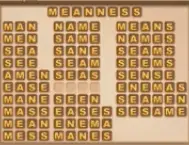 Word Cookies Palmier Level 8 Answers Puzzle