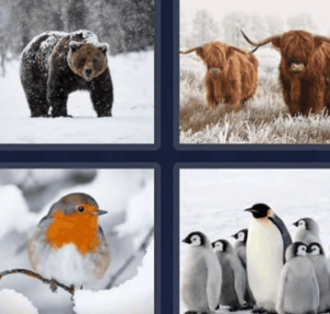 4 Pics 1 Word Bonus Daily December 4 2021 Answers Puzzle