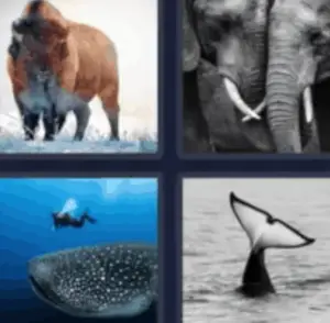 4 Pics 1 Word Daily February 7 2022 Answers Puzzle
