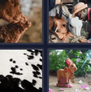 4 Pics 1 Word Daily February 11 2022 Answers Puzzle