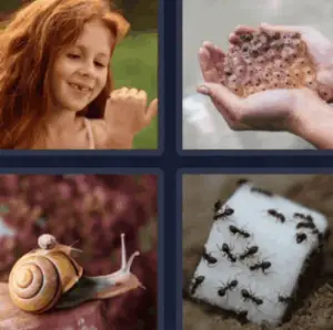 4 Pics 1 Word Daily February 19 2022 Answers Puzzle