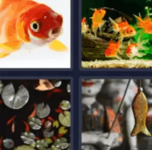 4 Pics 1 Word Daily February 23 2022 Answers Puzzle