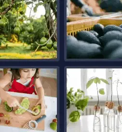 4 Pics 1 Word Daily April 6 2022 Answers Puzzle