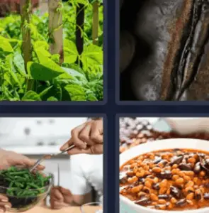 4 Pics 1 Word April 16 2022 Daily Puzzle Answers