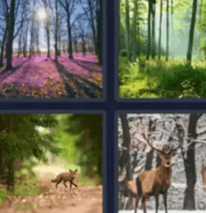 4 Pics 1 Word Daily Puzzle April 22 2022 Answers