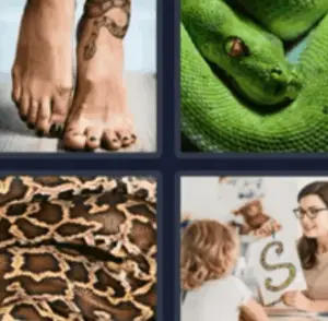 4 Pics 1 Word Daily Puzzle April 26 2022 Answers