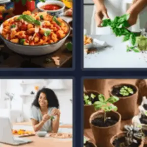 4 Pics 1 Word Daily Puzzle April 29 2022 Answers