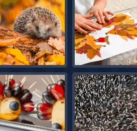 4 Pics 1 Word Daily Bonus October 1 2022 Answers Puzzle for Today