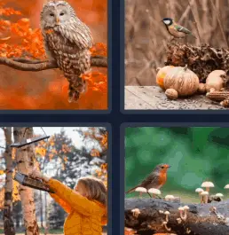 4 Pics 1 Word Daily Bonus Puzzle October 9 2022 Answers for Today
