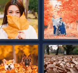 4 Pics 1 Word Daily Puzzle October 7 2022 Answers for Today