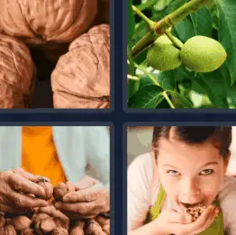 4 Pics 1 Word October 13 2022 Daily Puzzle Answers for Today