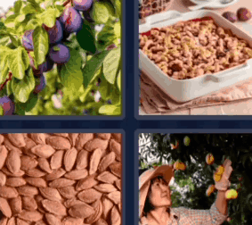 4 Pics 1 Word October 19 2022 Daily Puzzle Answers for Today