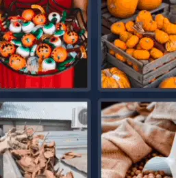 4 Pics 1 Word October 25 2022 Daily Bonus Puzzle Answers for Today